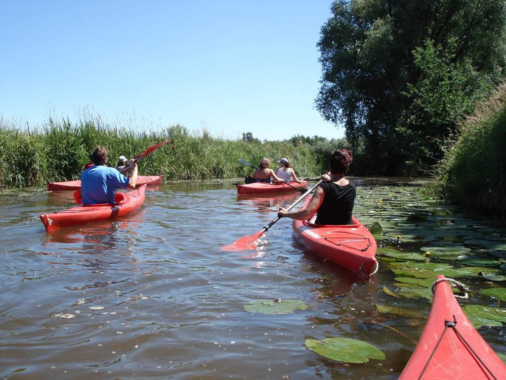 Groepactiviteit kanovaren bij Kanoverhuur Den Helder